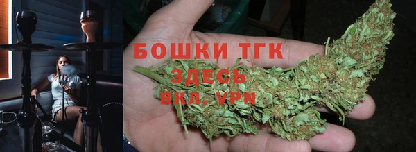 индика Алзамай