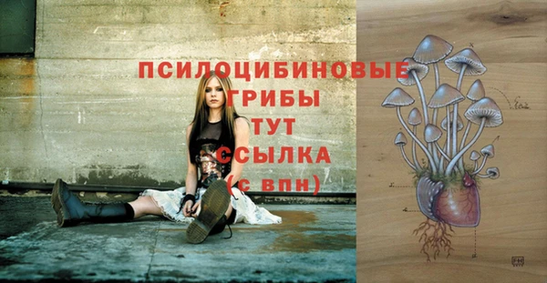 тгк Алексин