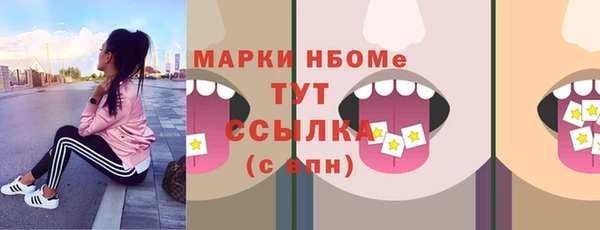 индика Алзамай