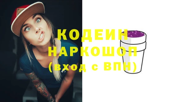 индика Алзамай
