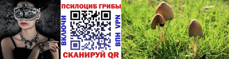 Псилоцибиновые грибы мухоморы  закладка  Волжский 